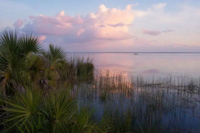 Lake Tohopekaliga shoreline and flat Central Florida horizon near Kissimmee