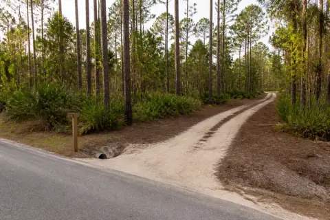 New equipment access lane cut through brush toward an interior parcel