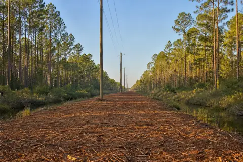 Vegetation cleared along a marked utility right-of-way with boundary stakes visible