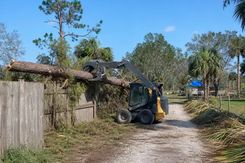 Ground-level storm debris collected from a Florida property after severe weather